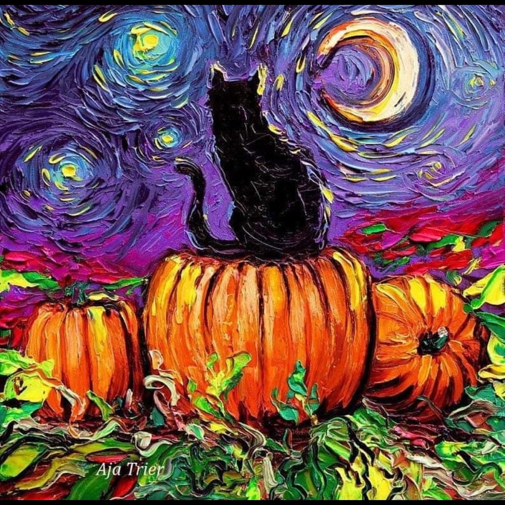 Meet your Posher, Yessenia